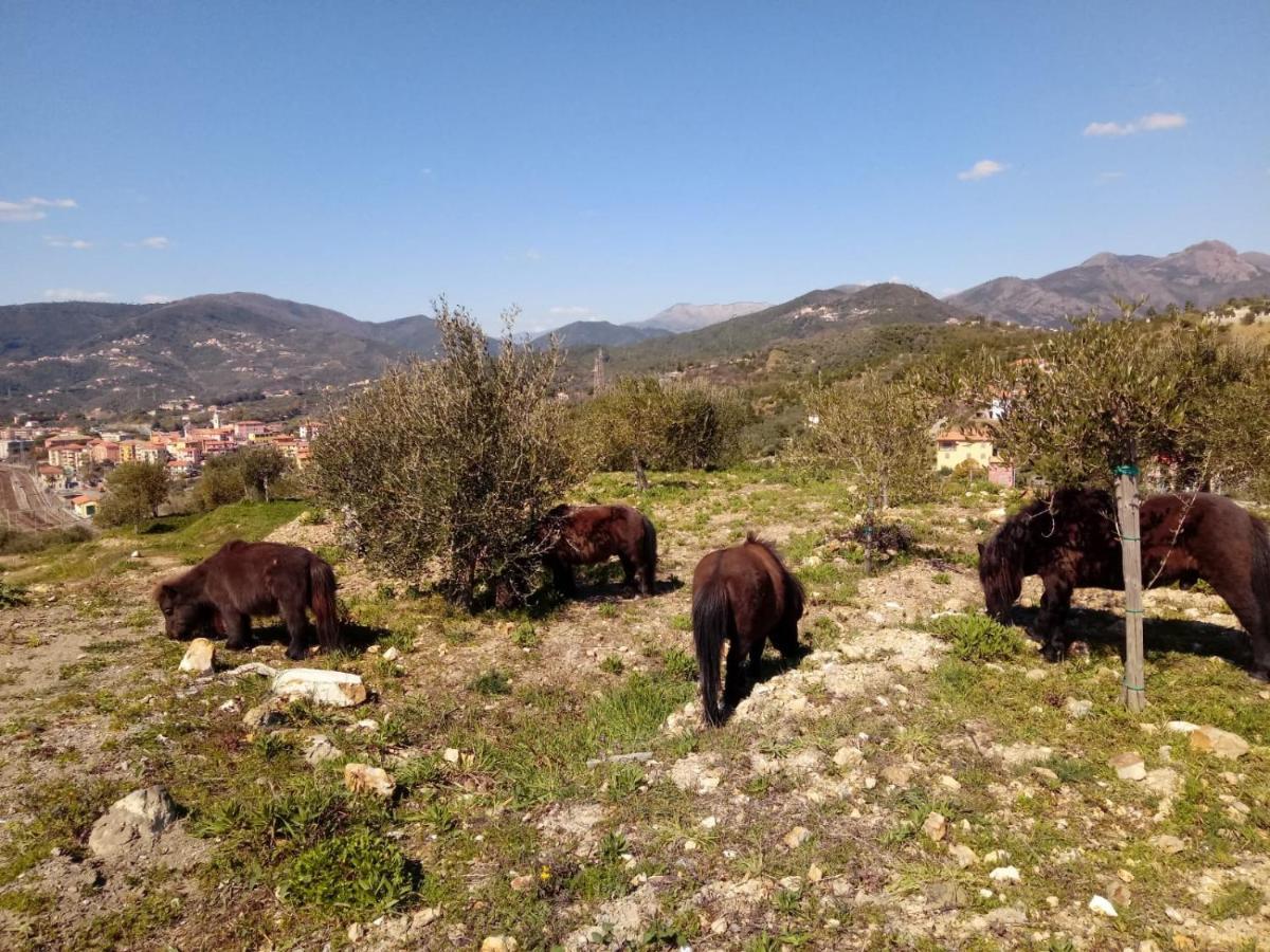 Appartamento Taggiasca A Riva Trigoso Сестрі-Леванте Екстер'єр фото